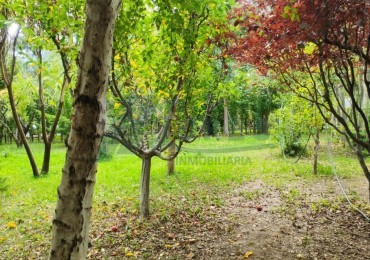TERRENO CORDON FORESTAL EN VENTA